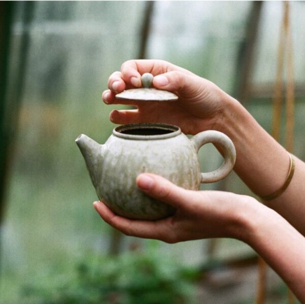 Screenshot_20250131_171750 Pinch Teapots with Hannah Lawrence -Full Day